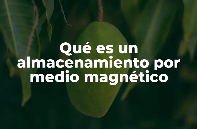 Qué es un Almacenamiento por Medio Magnético