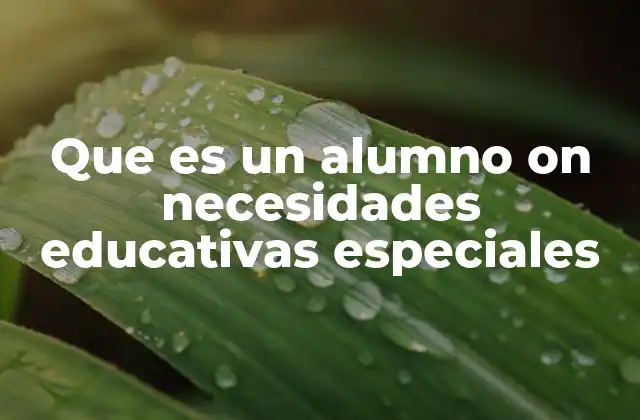 Que es un Alumno On Necesidades Educativas Especiales