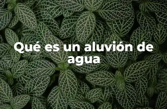 Qué es un Aluvión de Agua