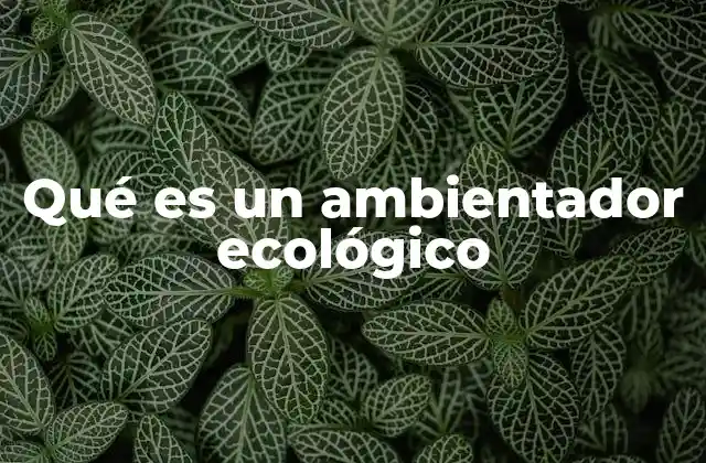Qué es un Ambientador Ecológico