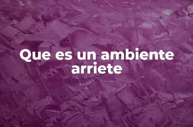 Que es un Ambiente Arriete