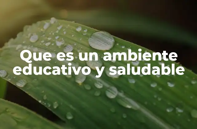 Que es un Ambiente Educativo y Saludable