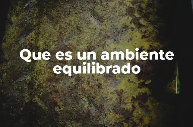 Que es un Ambiente Equilibrado 2 La importancia de mantener el equilibrio en los espacios que habitamos