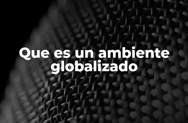 Que es un Ambiente Globalizado