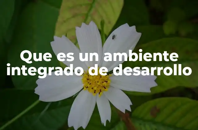 Que es un Ambiente Integrado de Desarrollo