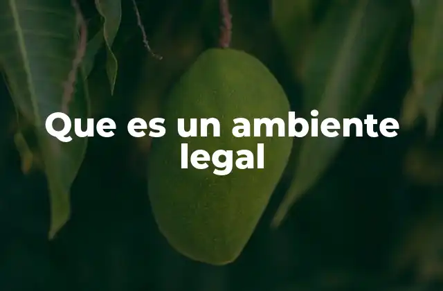 Que es un Ambiente Legal