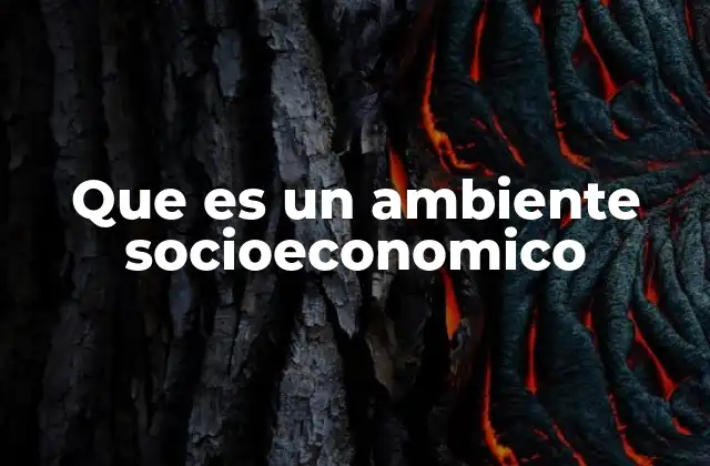Que es un Ambiente Socioeconomico