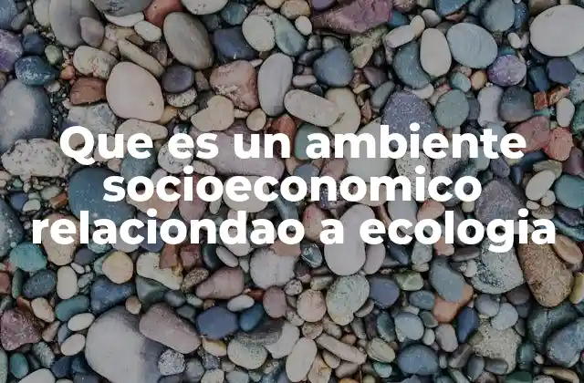 Que es un Ambiente Socioeconomico Relaciondao a Ecologia