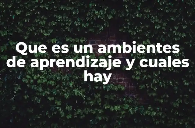Que es un Ambientes de Aprendizaje y Cuales Hay