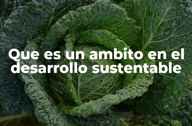 Que es un Ambito en el Desarrollo Sustentable 2 La importancia de los ámbitos en el marco del desarrollo sostenible