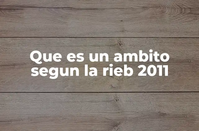 Que es un Ambito Segun la Rieb 2011