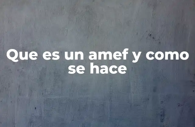 Que es un Amef y como Se Hace