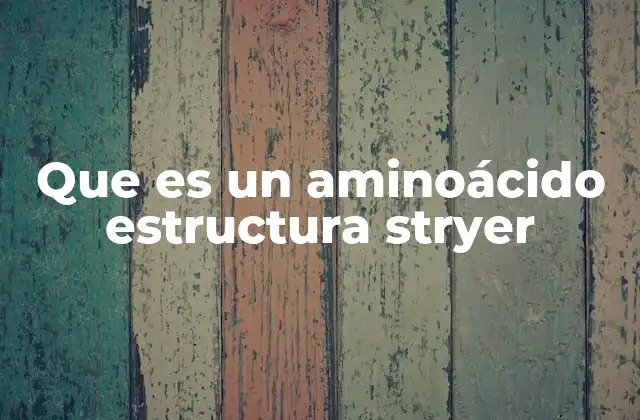 Que es un Aminoácido Estructura Stryer
