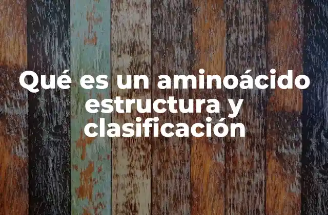 Qué es un Aminoácido Estructura y Clasificación