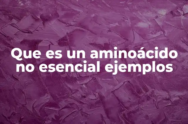 Que es un Aminoácido No Esencial Ejemplos 2 Funciones del cuerpo humano y los aminoácidos no esenciales