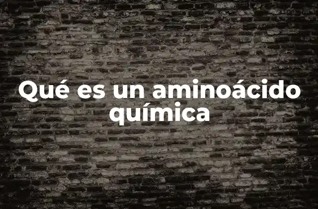 Qué es un Aminoácido Química