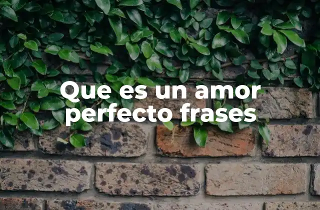 Que es un Amor Perfecto Frases