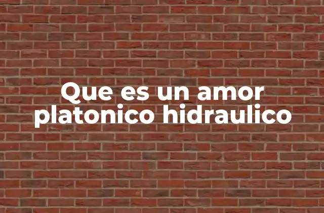 Que es un Amor Platonico Hidraulico
