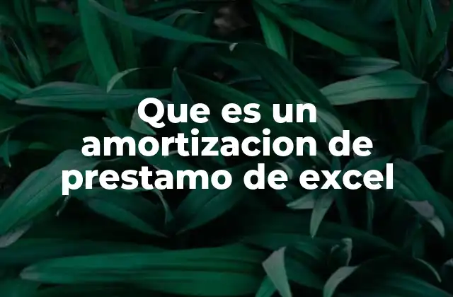 Que es un Amortizacion de Prestamo de Excel