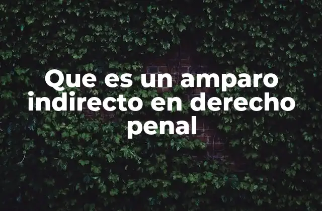 Que es un Amparo Indirecto en Derecho Penal
