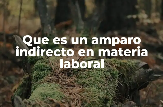 Que es un Amparo Indirecto en Materia Laboral
