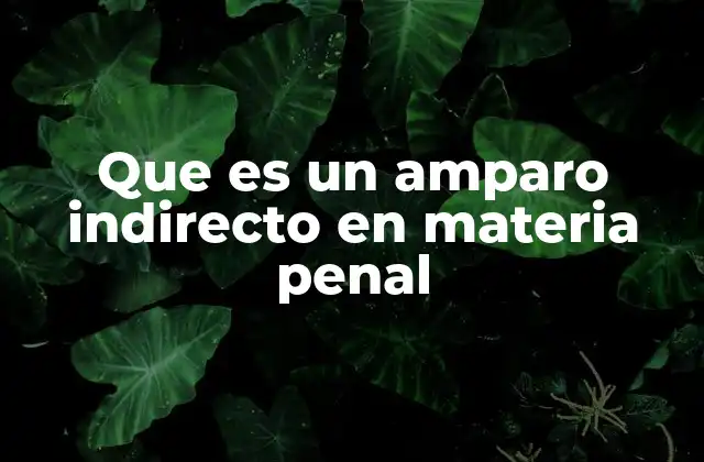 Que es un Amparo Indirecto en Materia Penal