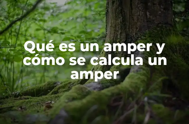 Qué es un Amper y Cómo Se Calcula un Amper