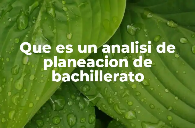Que es un Analisi de Planeacion de Bachillerato