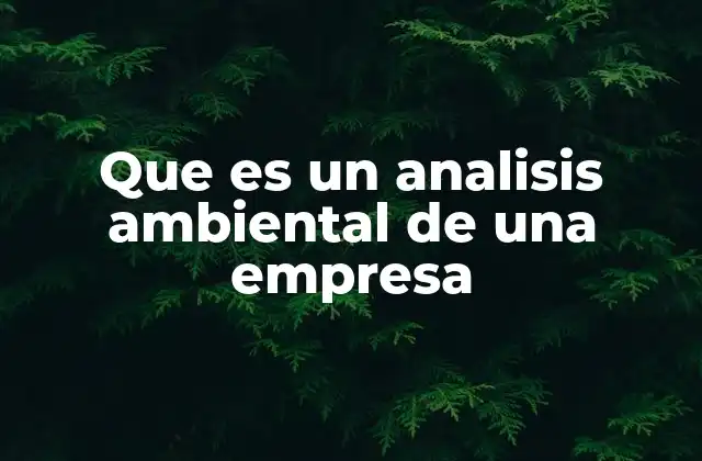 Que es un Analisis Ambiental de una Empresa