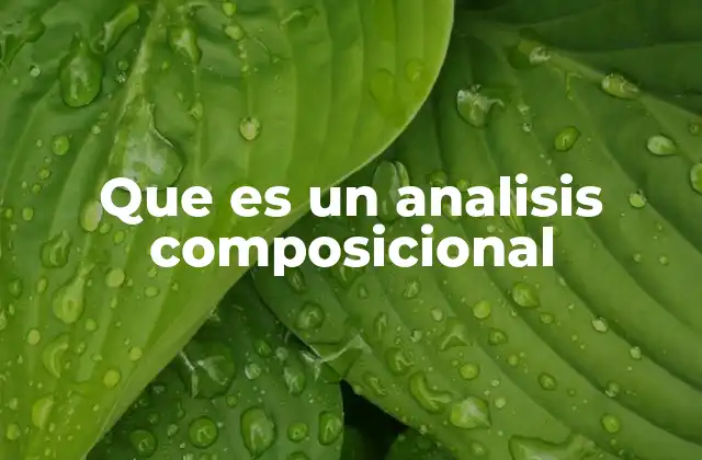 Que es un Analisis Composicional