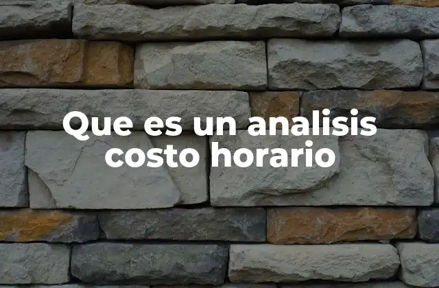 Que es un Analisis Costo Horario