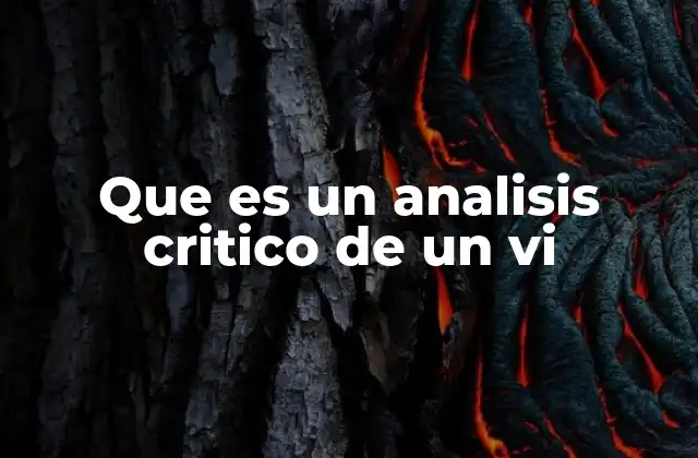 Que es un Analisis Critico de un Vi