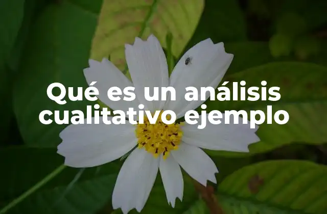 Qué es un Análisis Cualitativo Ejemplo
