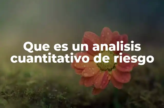 Que es un Analisis Cuantitativo de Riesgo