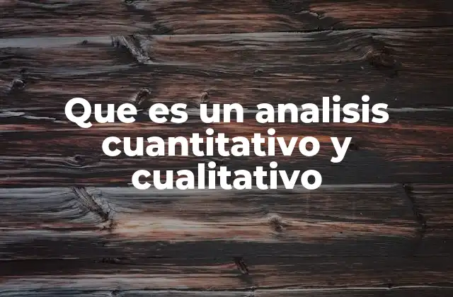 Que es un Analisis Cuantitativo y Cualitativo