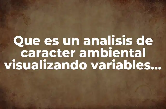 Que es un Analisis de Caracter Ambiental Visualizando Variables Macroeconomicas
