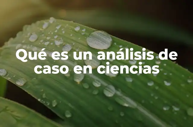 Qué es un Análisis de Caso en Ciencias