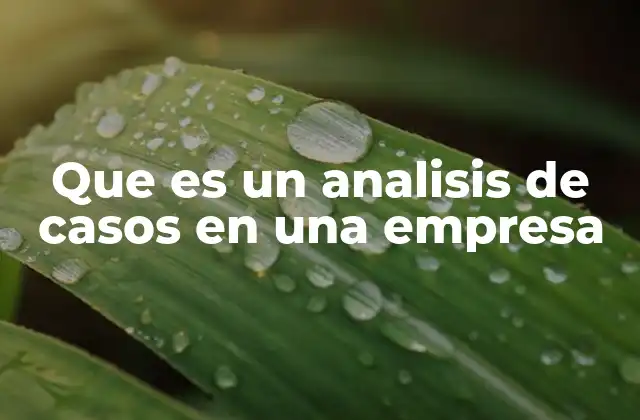Que es un Analisis de Casos en una Empresa