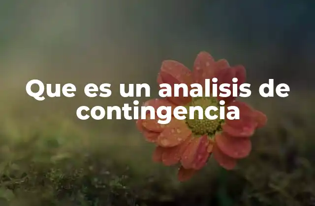 Que es un Analisis de Contingencia