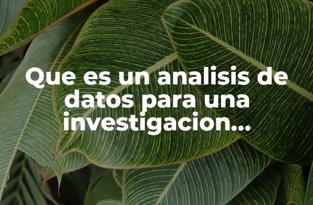 Que es un Analisis de Datos para una Investigacion Cualitativa