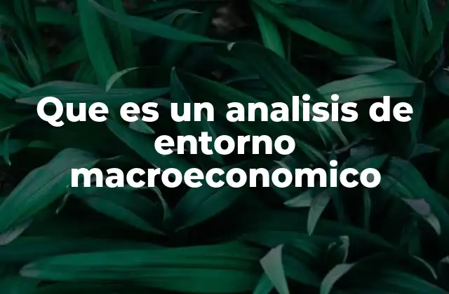 Que es un Analisis de Entorno Macroeconomico