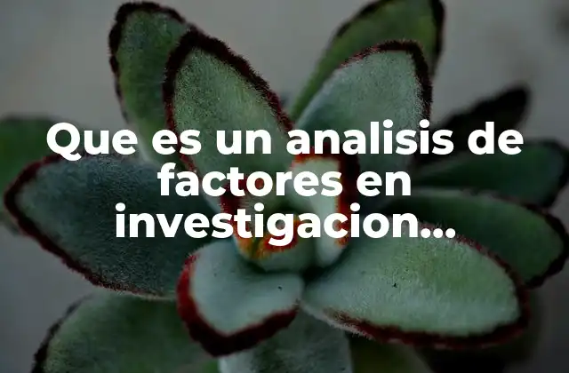 Que es un Analisis de Factores en Investigacion Cualitativa