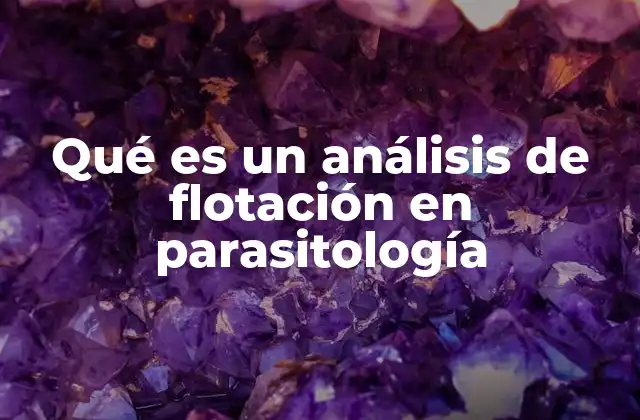 Qué es un Análisis de Flotación en Parasitología