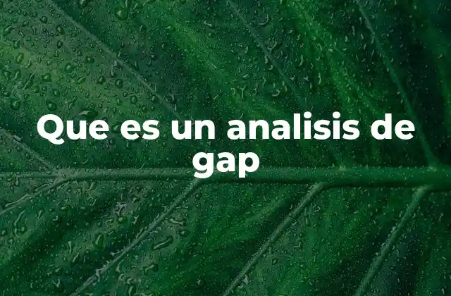 Que es un Analisis de Gap