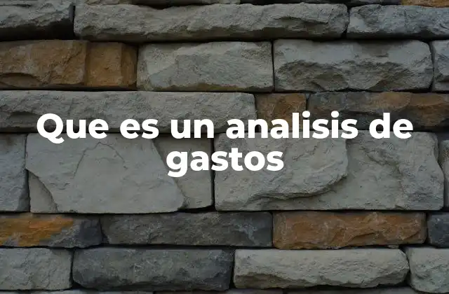 Que es un Analisis de Gastos