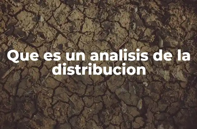 Que es un Analisis de la Distribucion