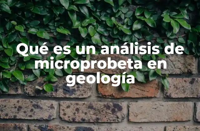 Qué es un Análisis de Microprobeta en Geología 2 Cómo se realiza un análisis de microprobeta