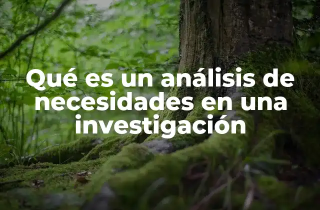 Qué es un Análisis de Necesidades en una Investigación