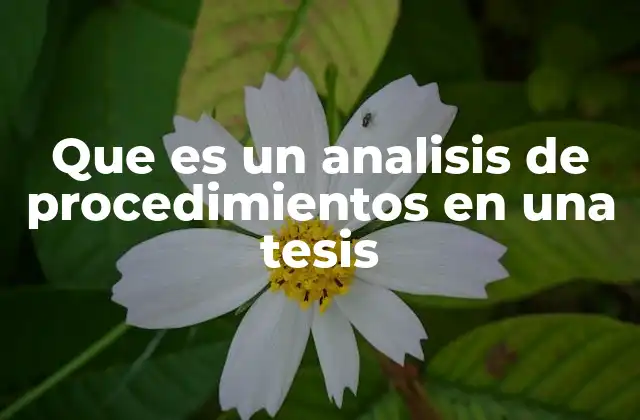 Que es un Analisis de Procedimientos en una Tesis