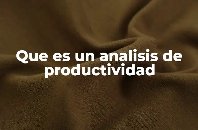 Que es un Analisis de Productividad